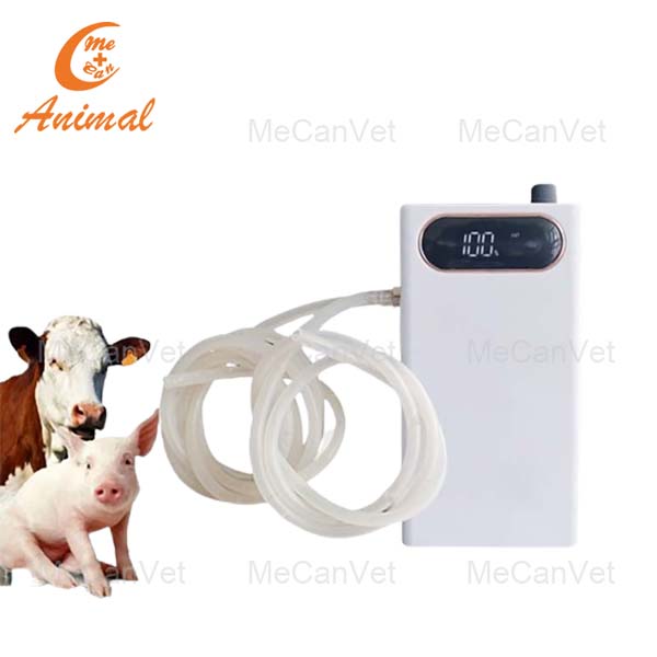 Portable Electric Uterine Cleaner